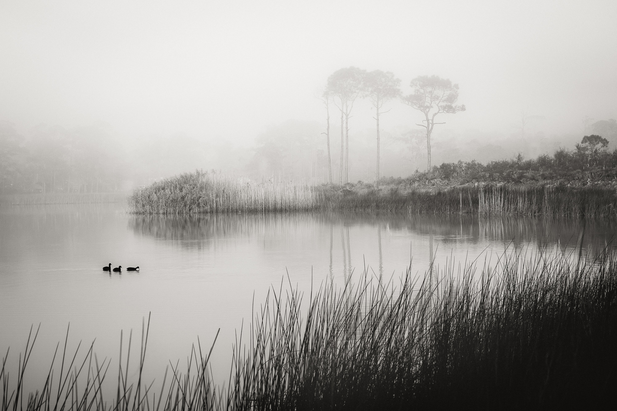 2012-11-04 Watercolor-745-Edit-Edit