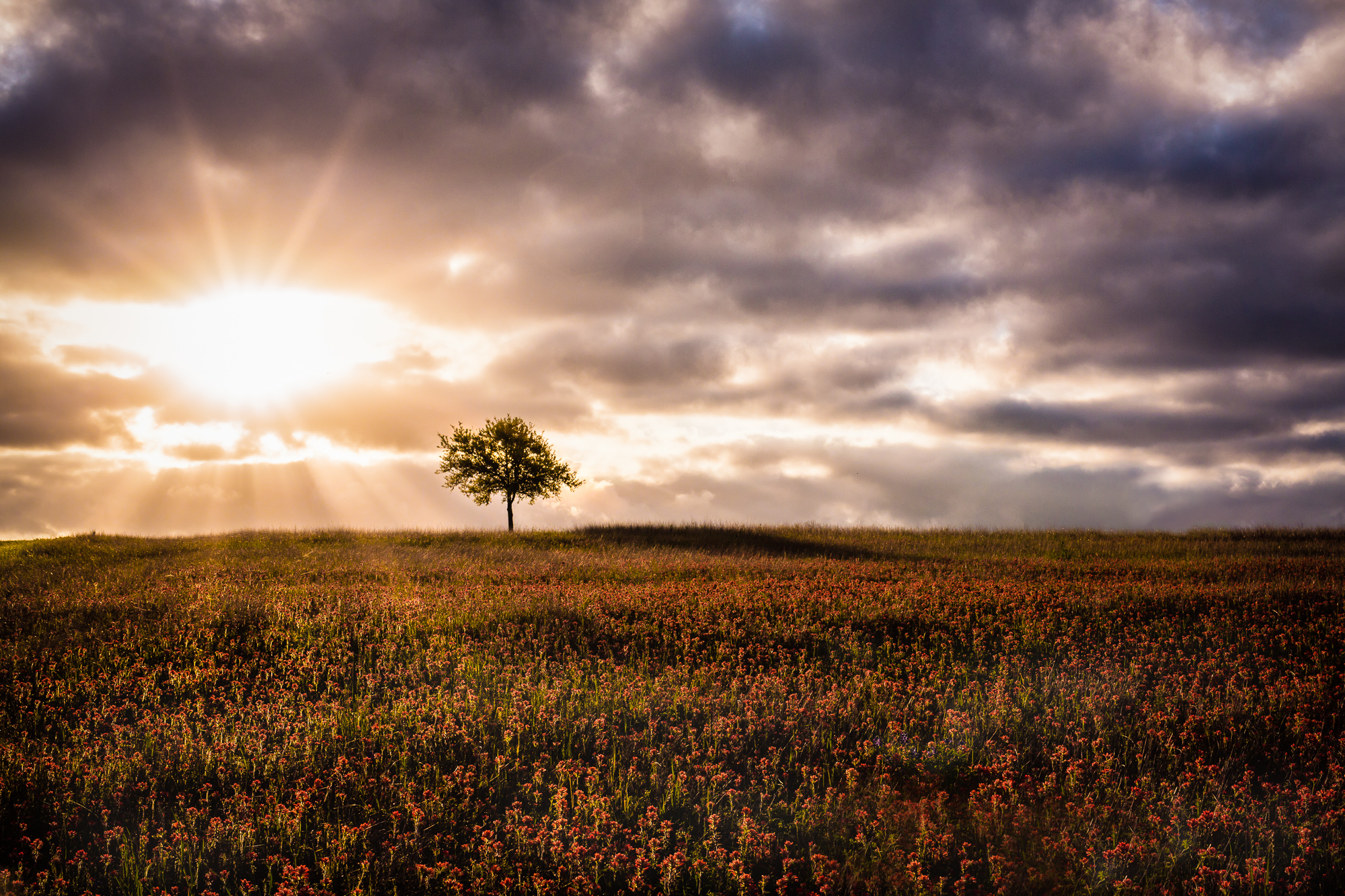 2015-03-31 Hill Country-756-Edit-Edit