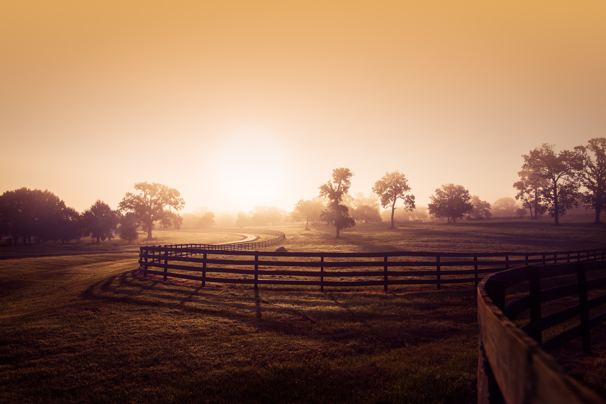 2016-09-17 Inn at Dos Brisas-70-Edit