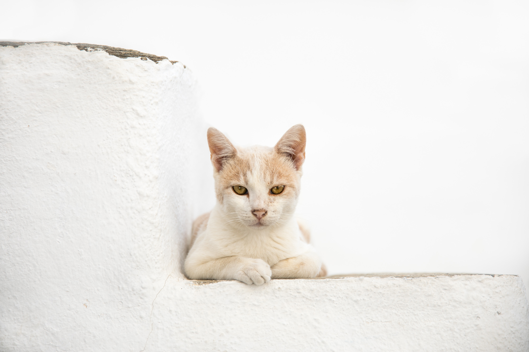 2018-09-18 Greece &Paris-954-2-Edit