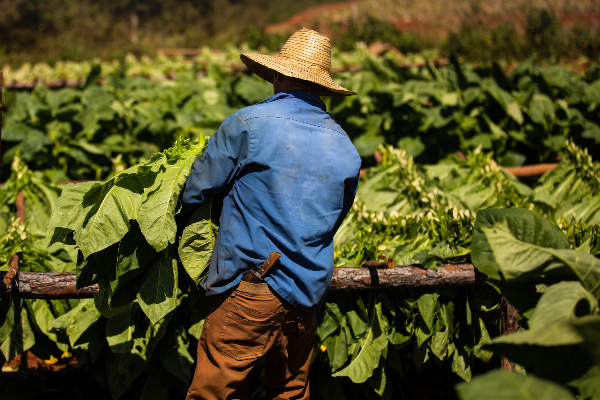 2019-02-15 Cuba Hi Res LT Vinales-10