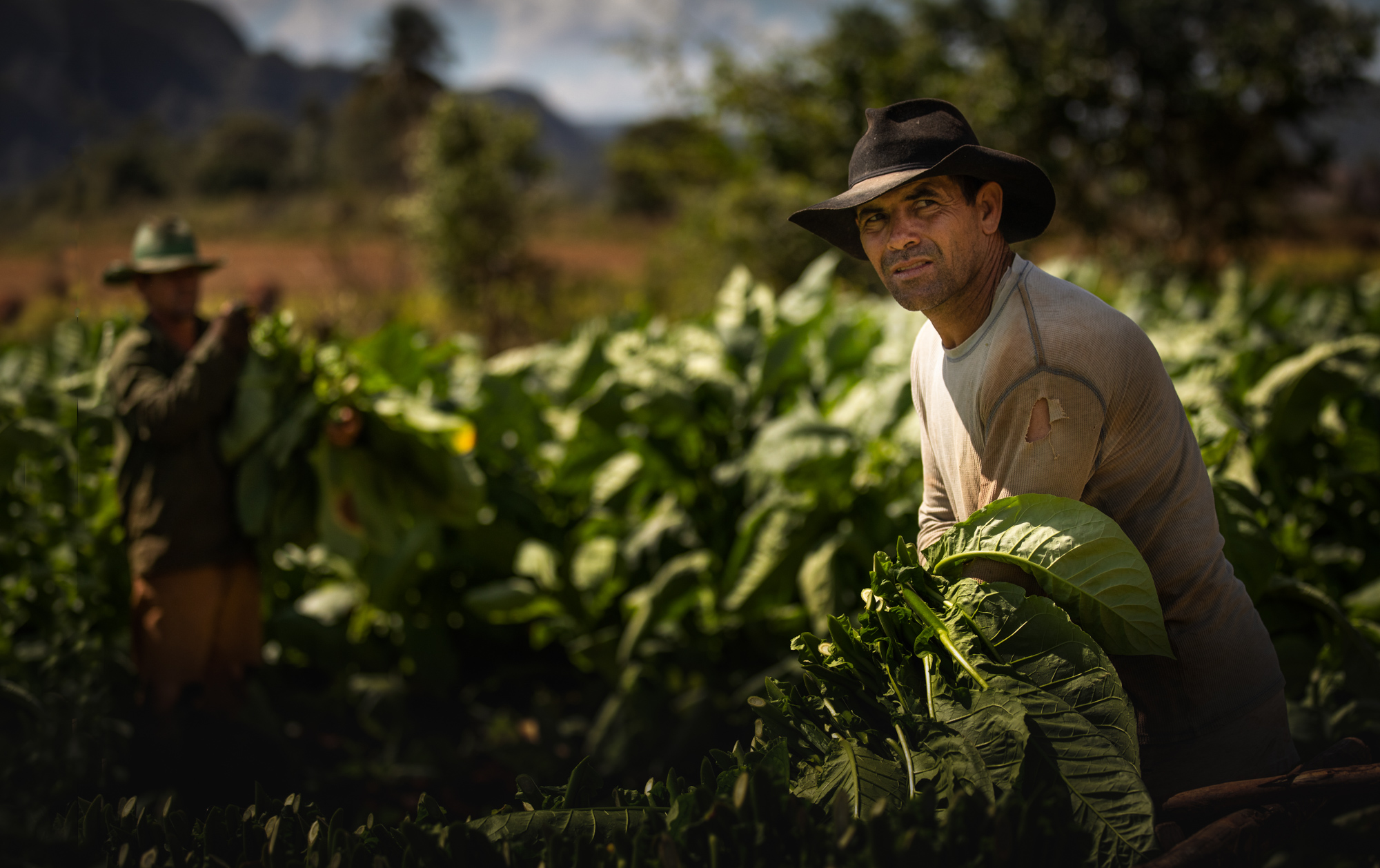 2019-02-15 Cuba Hi Res LT Vinales-11