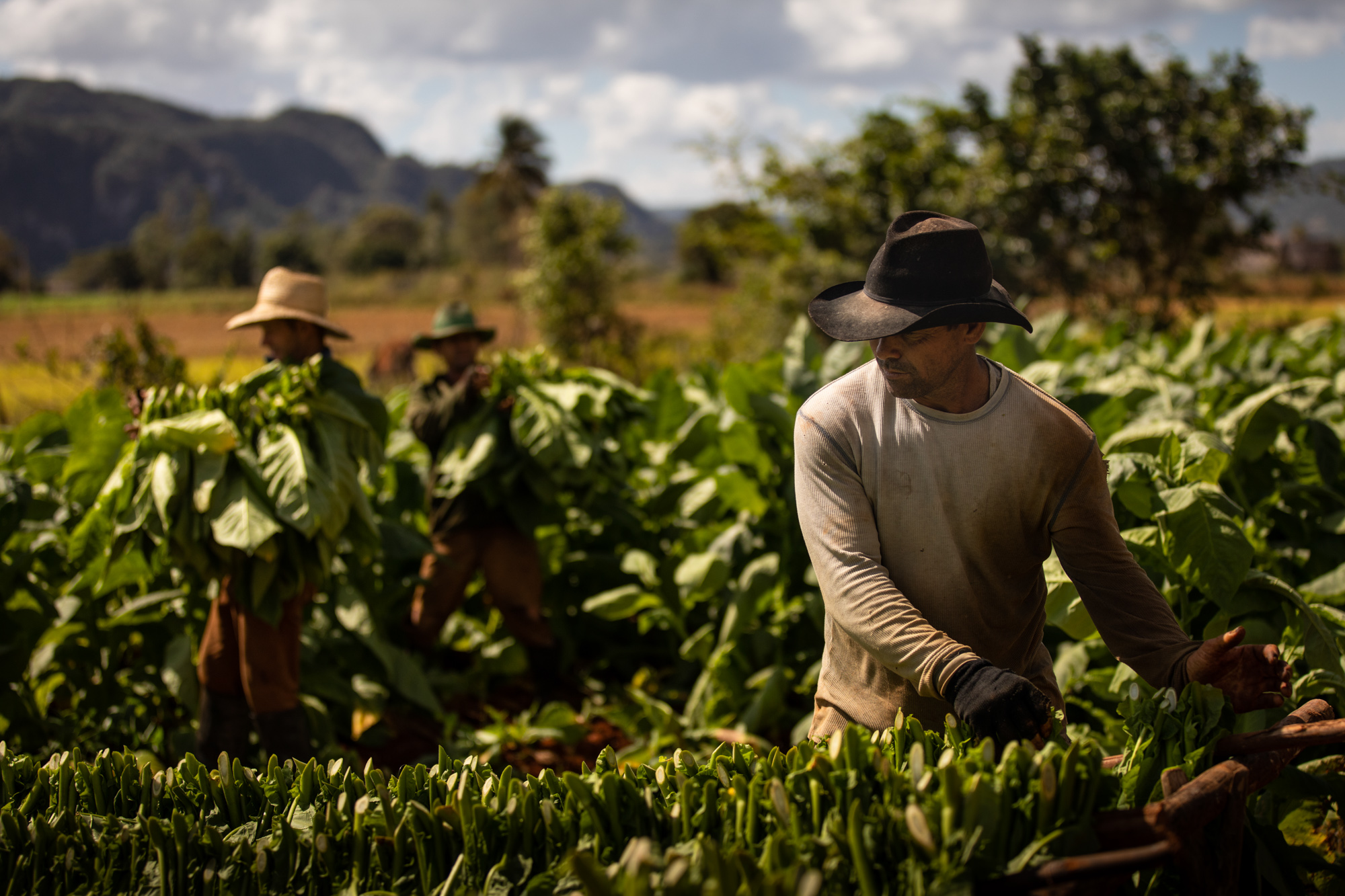 2019-02-15 Cuba Hi Res LT Vinales-12