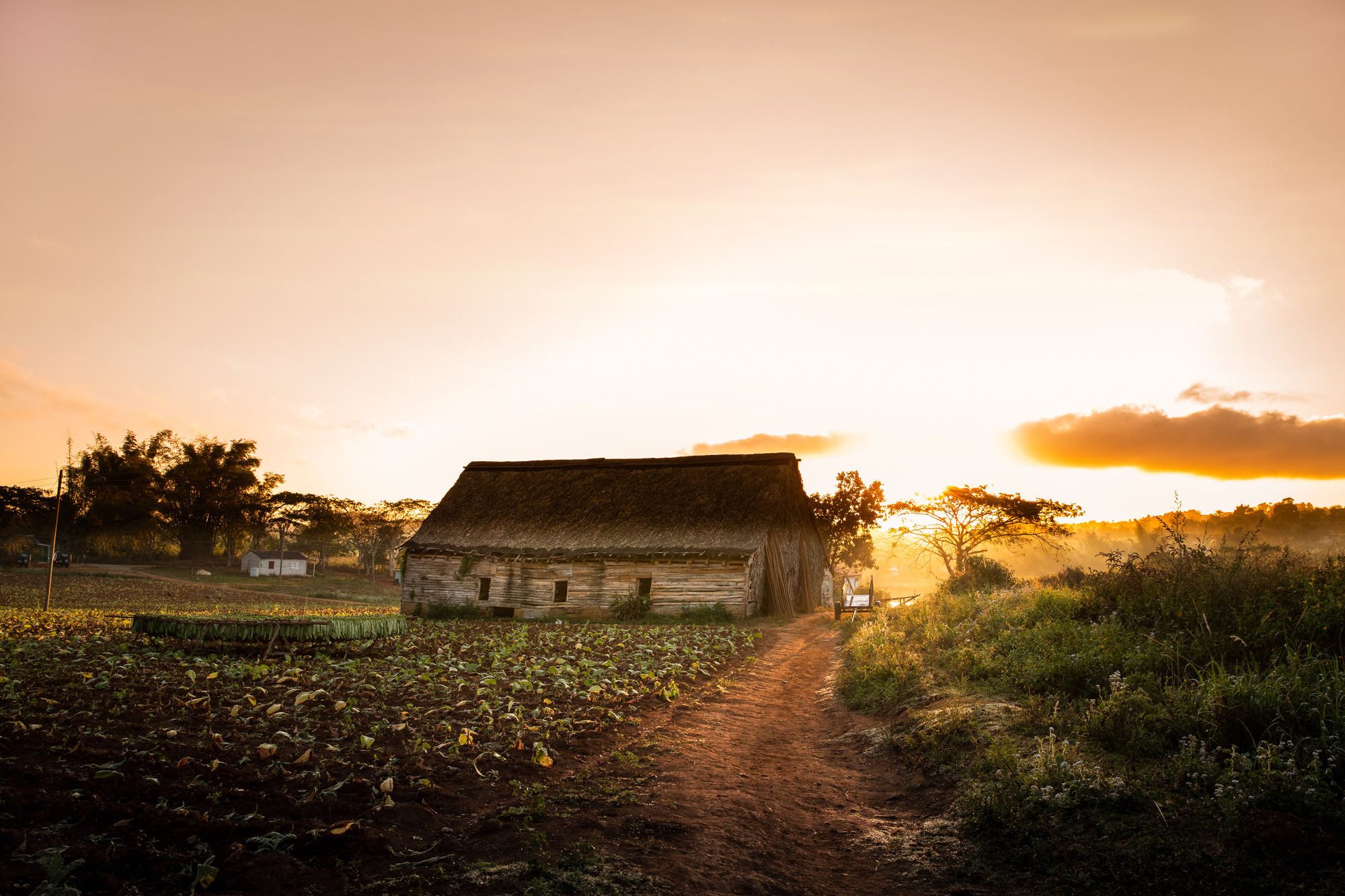 2019-02-15 Cuba Hi Res LT Vinales-5-Edit-Edit