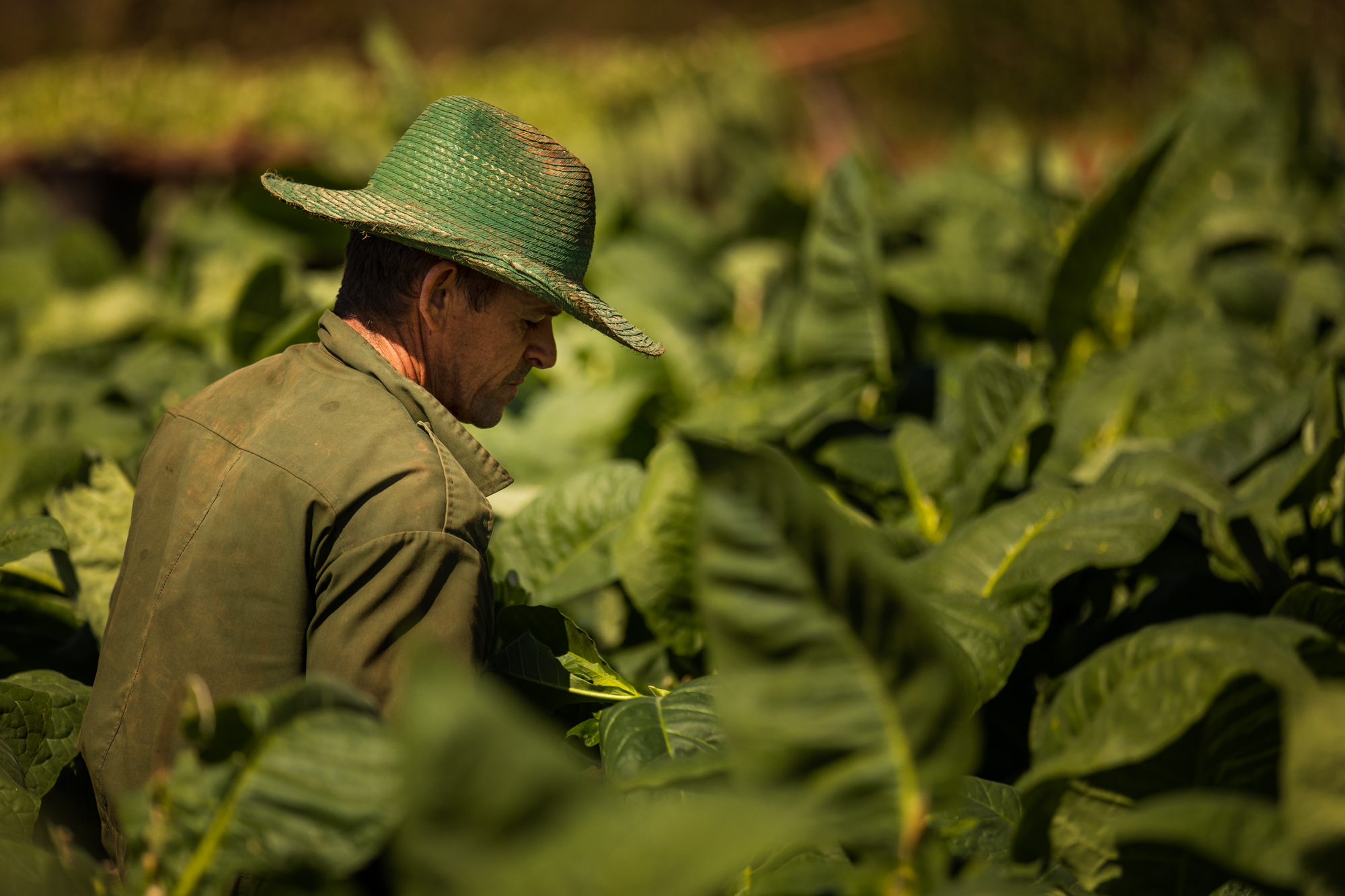 2019-02-15 Cuba Hi Res LT Vinales-8