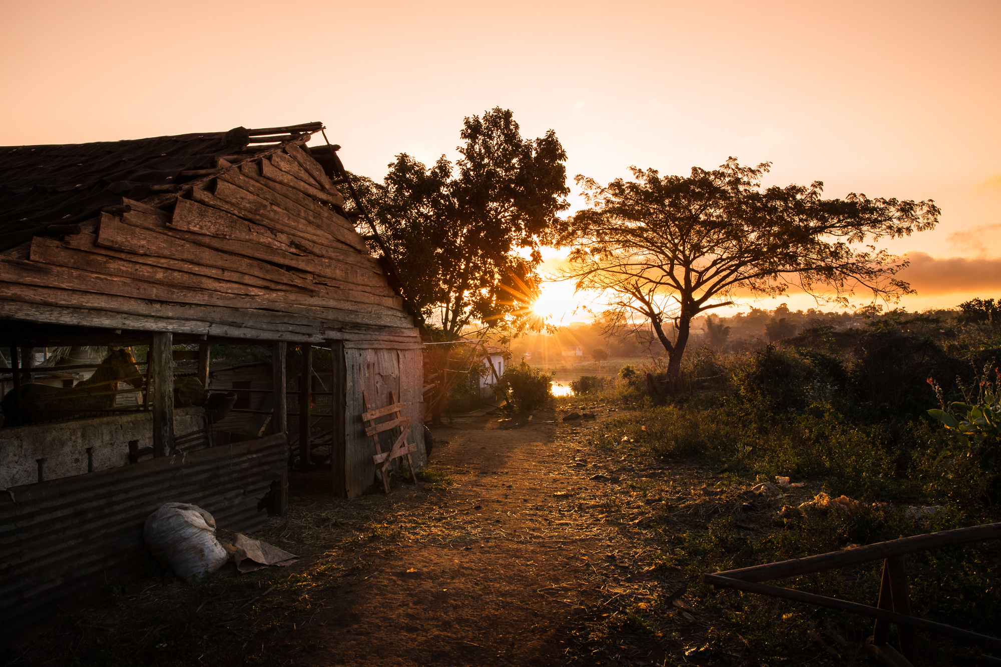 2019-02-15 Cuba Vinales-201-Edit-Edit