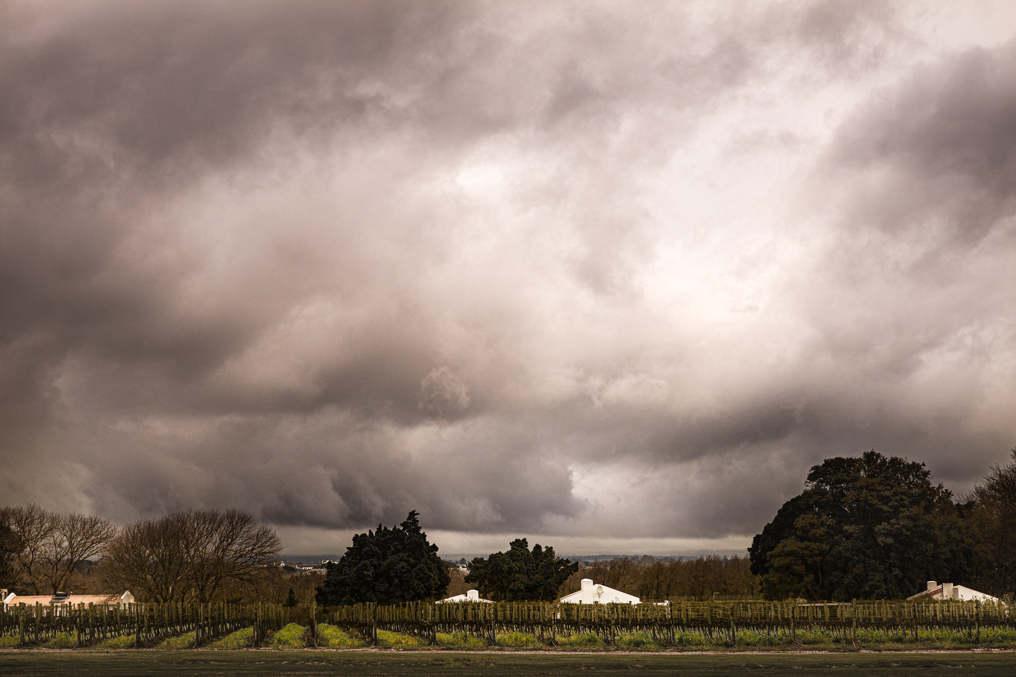 2019-08-09 Africa-1036-4-Edit-Edit-Edit-3-Edit