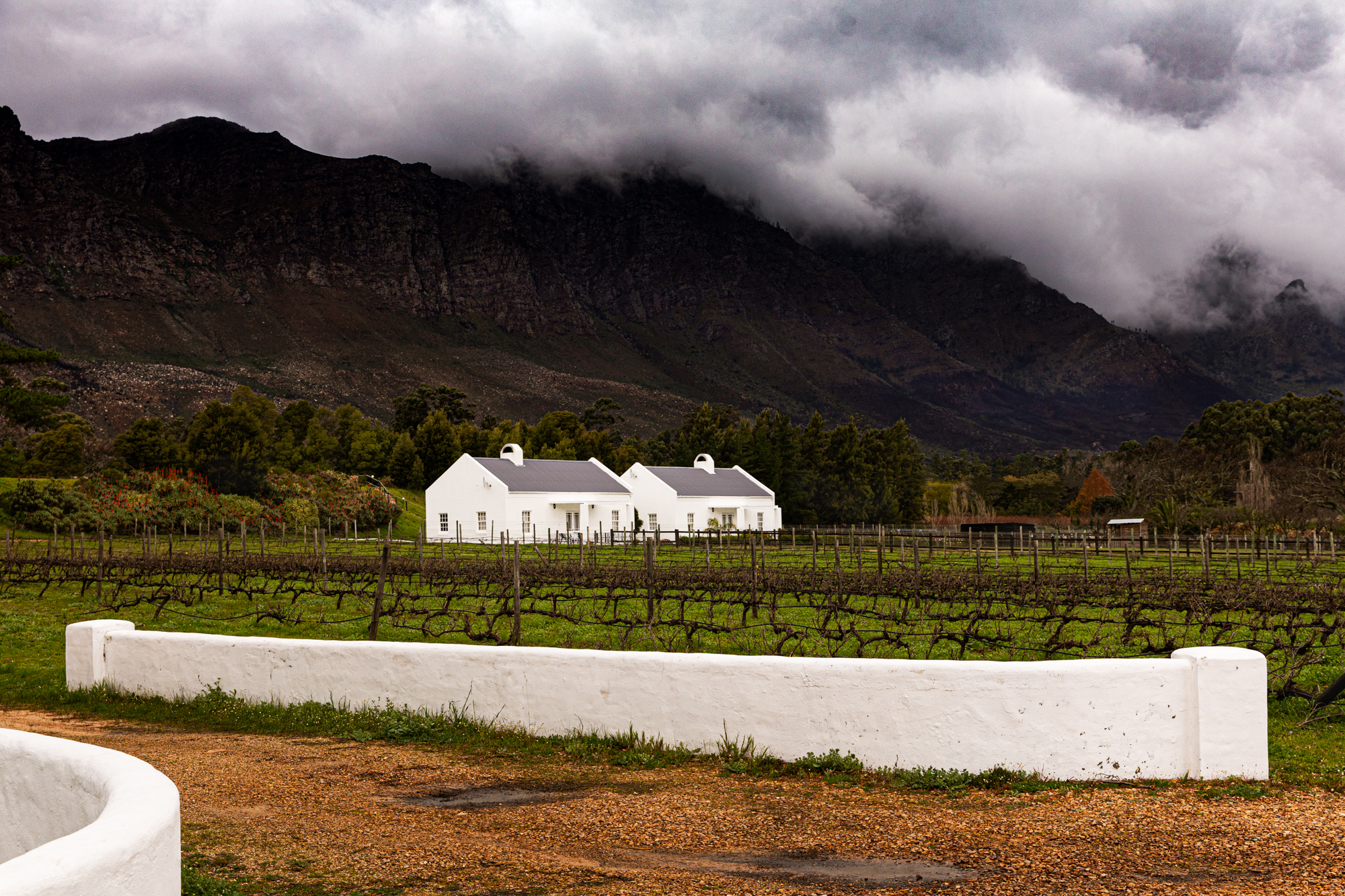 2019-08-09 Africa-1058-4-Edit