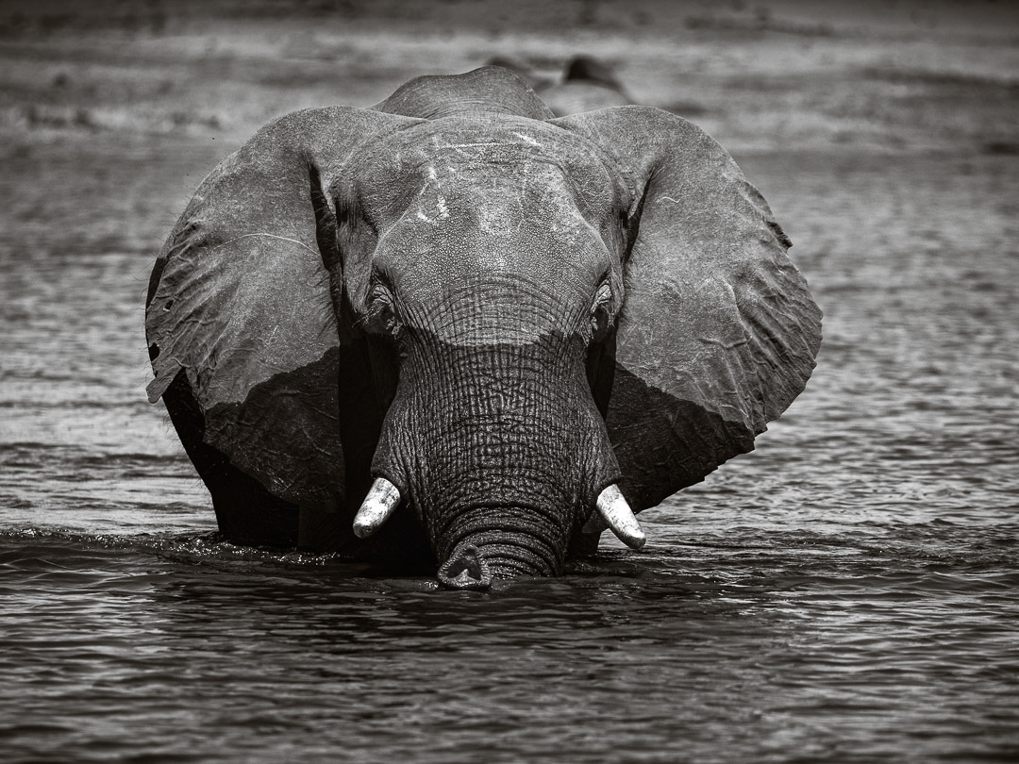 2019-10-12 Africa green edits-1-3