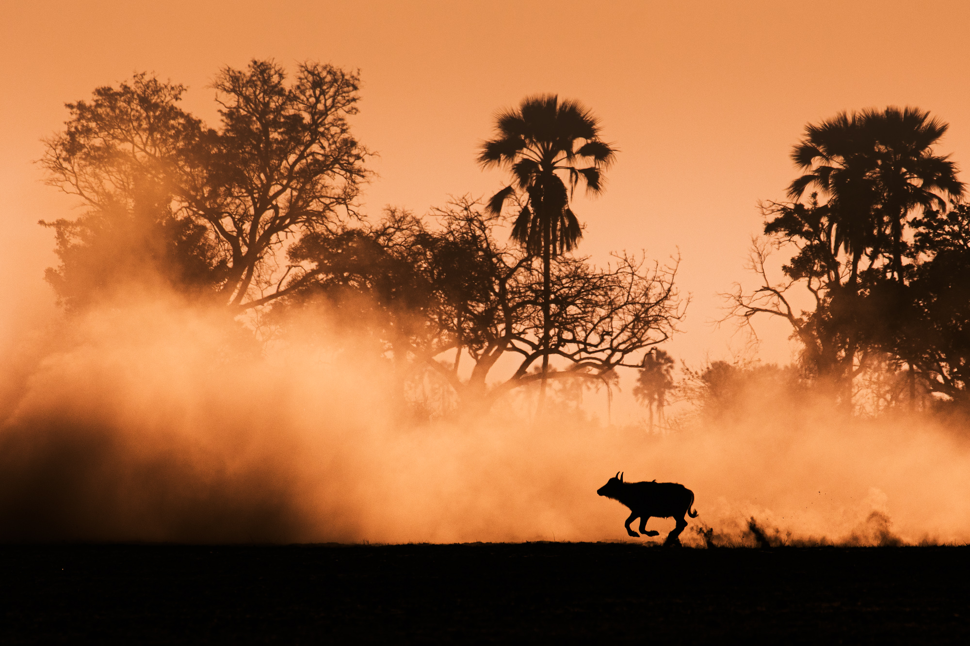 2019-08-09 Africa-881-2-Edit-Edit