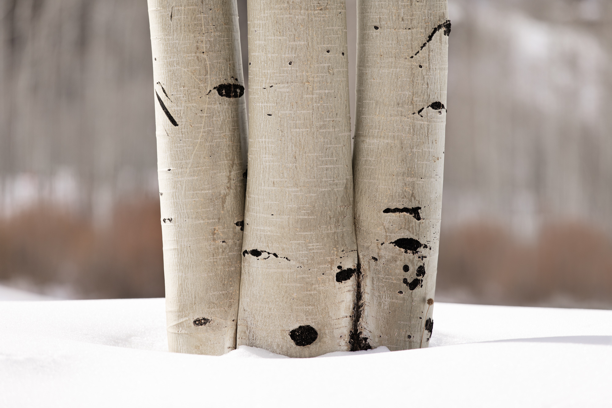 untitled-331-Edit-Edit-3