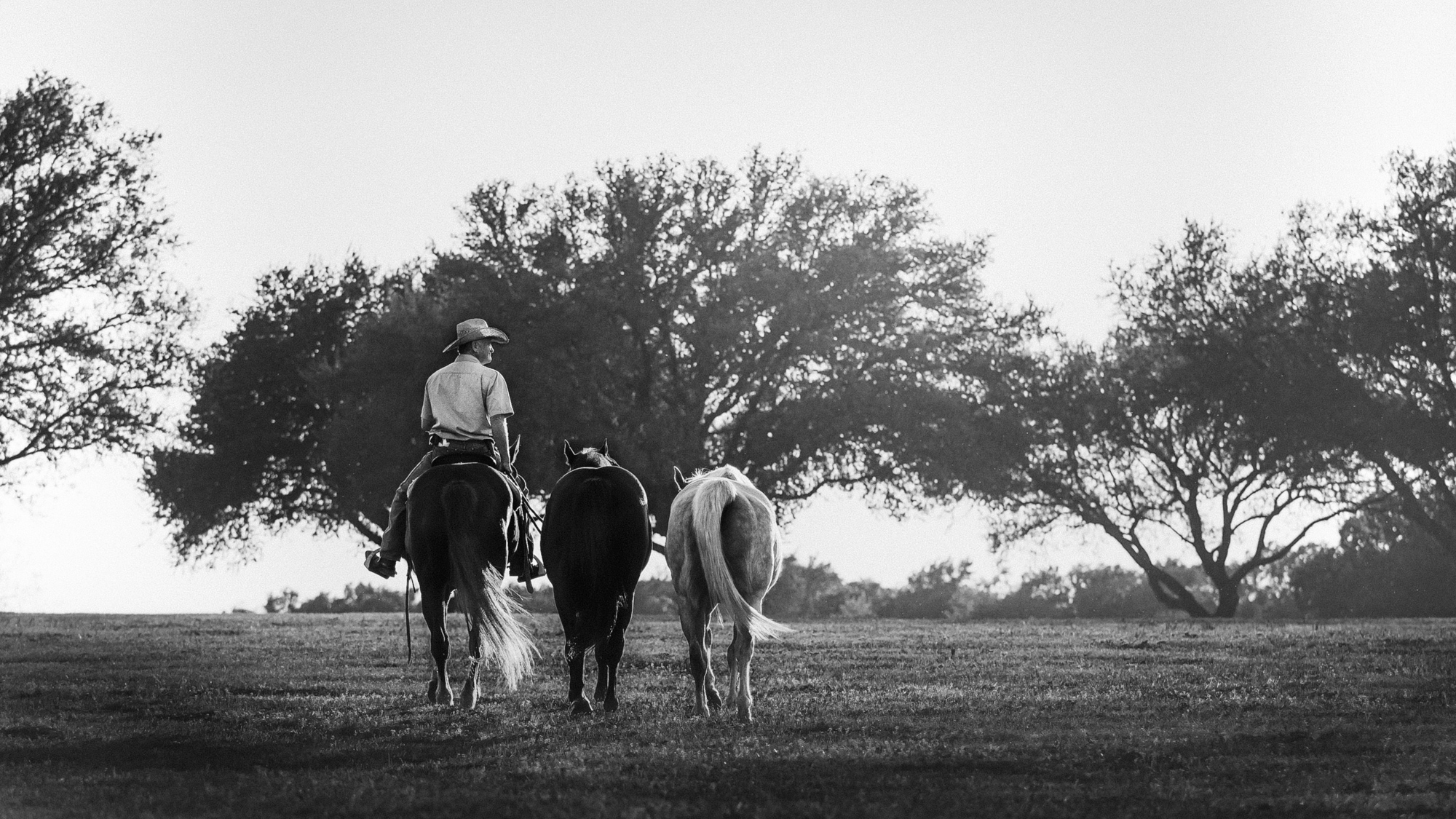 2015-03-31 Hill Country-509-Edit-Edit-2-Edit-Edit