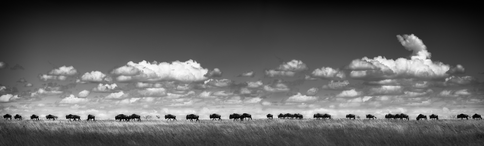 2018-02-22 Click Away-4-Edit-2