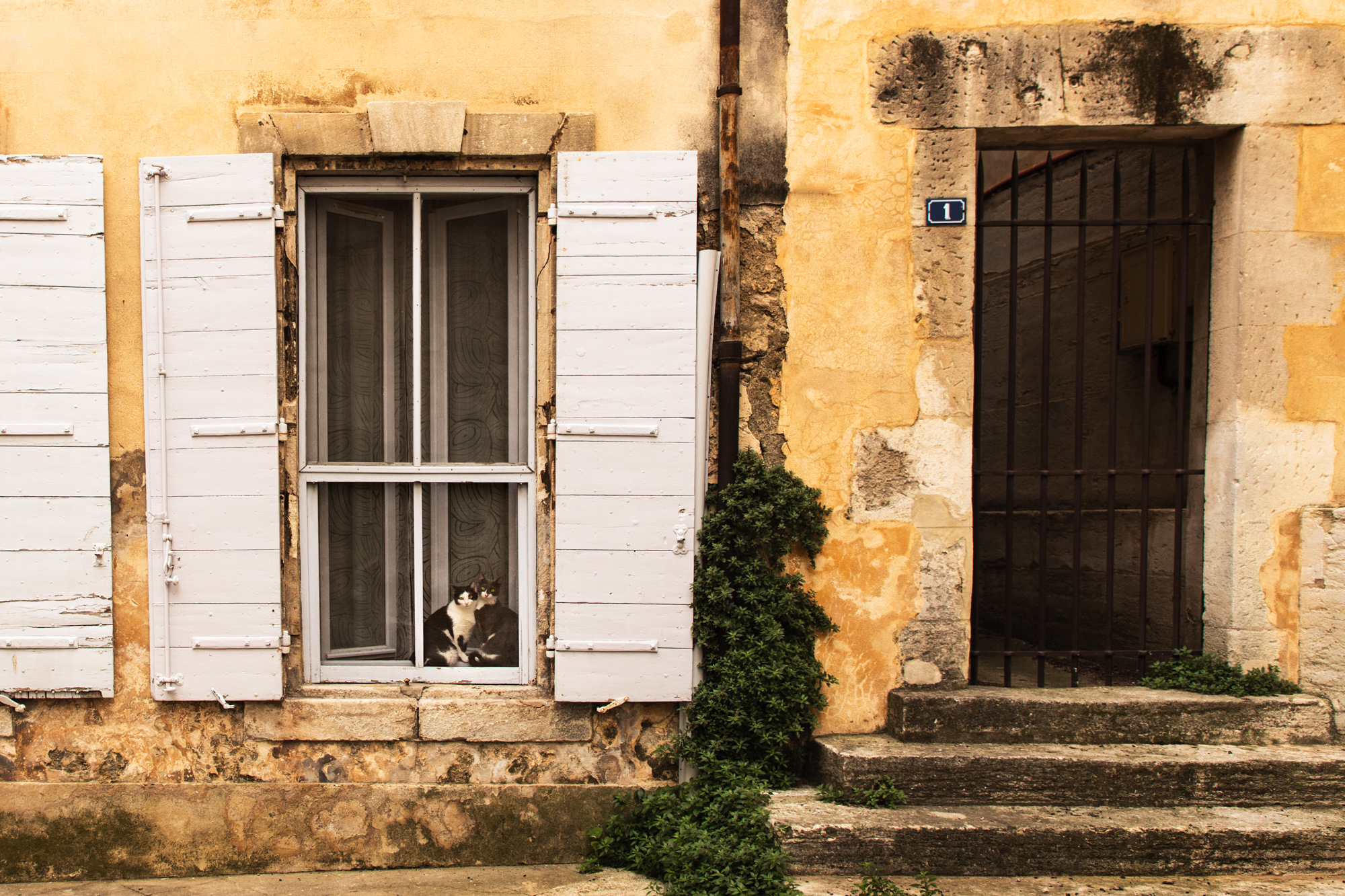 2019-06-24 Lyon Provence Nice-1390-Edit