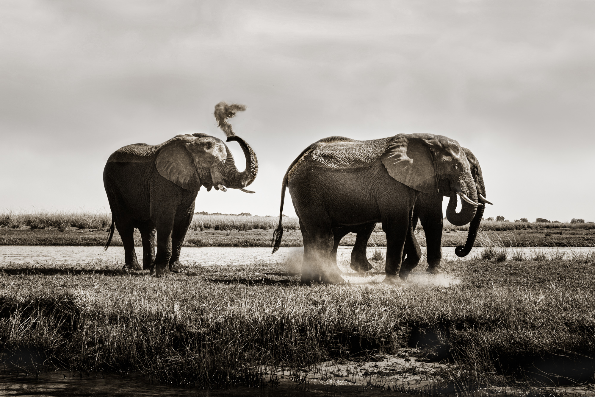 2019-08-09 Africa-621-Edit-Edit-Edit-Edit-Edit-Edit-Edit-Edit