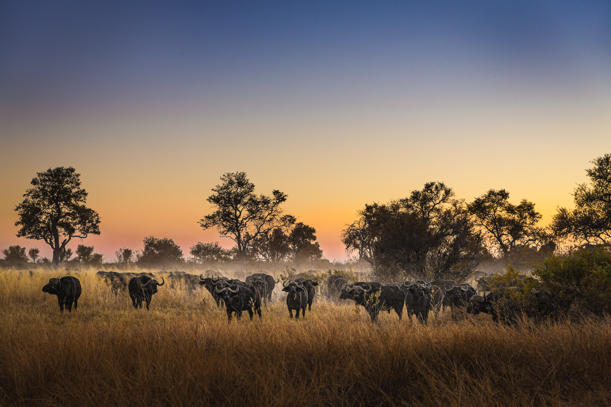 2019-08-09 Africa-448-7-Edit