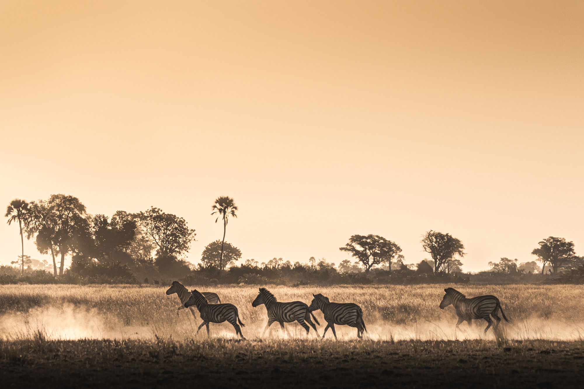 2019-10-12 Africa green edits-126-Edit-Edit