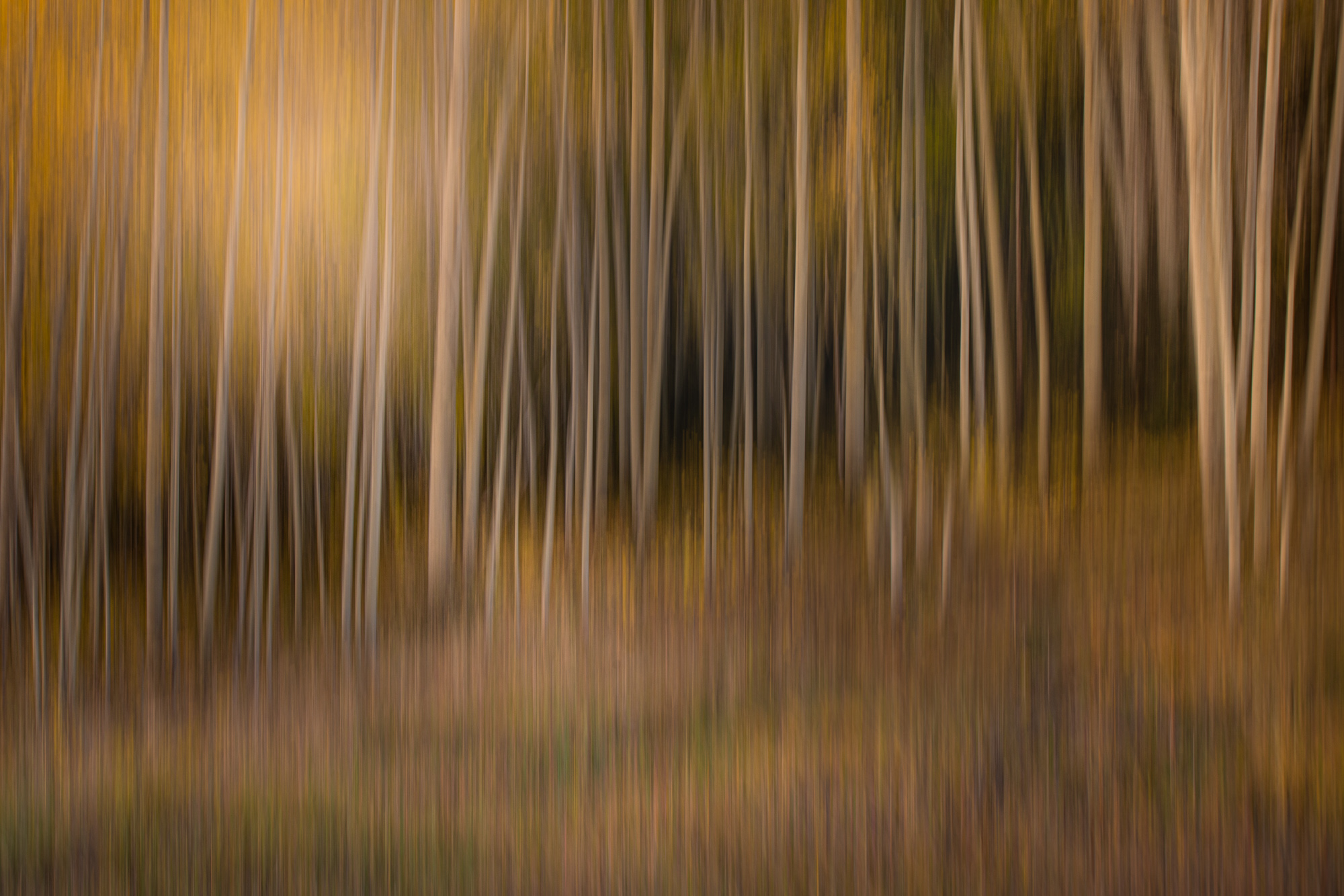 2020-10-09 Telluride-713-Edit