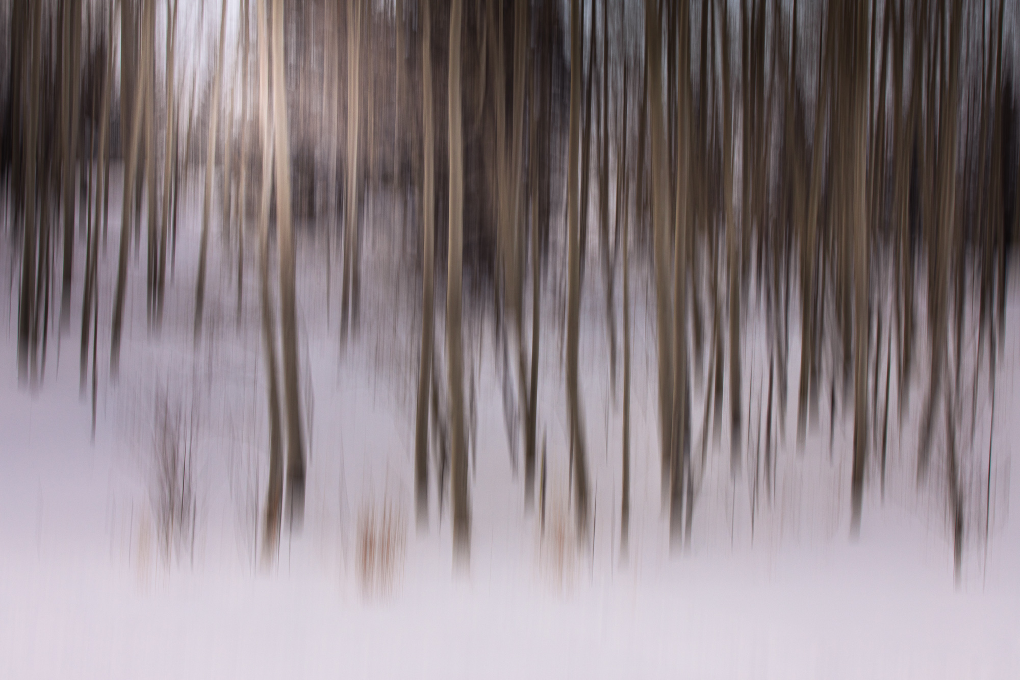 2020-12-29 Telluride-278-Edit