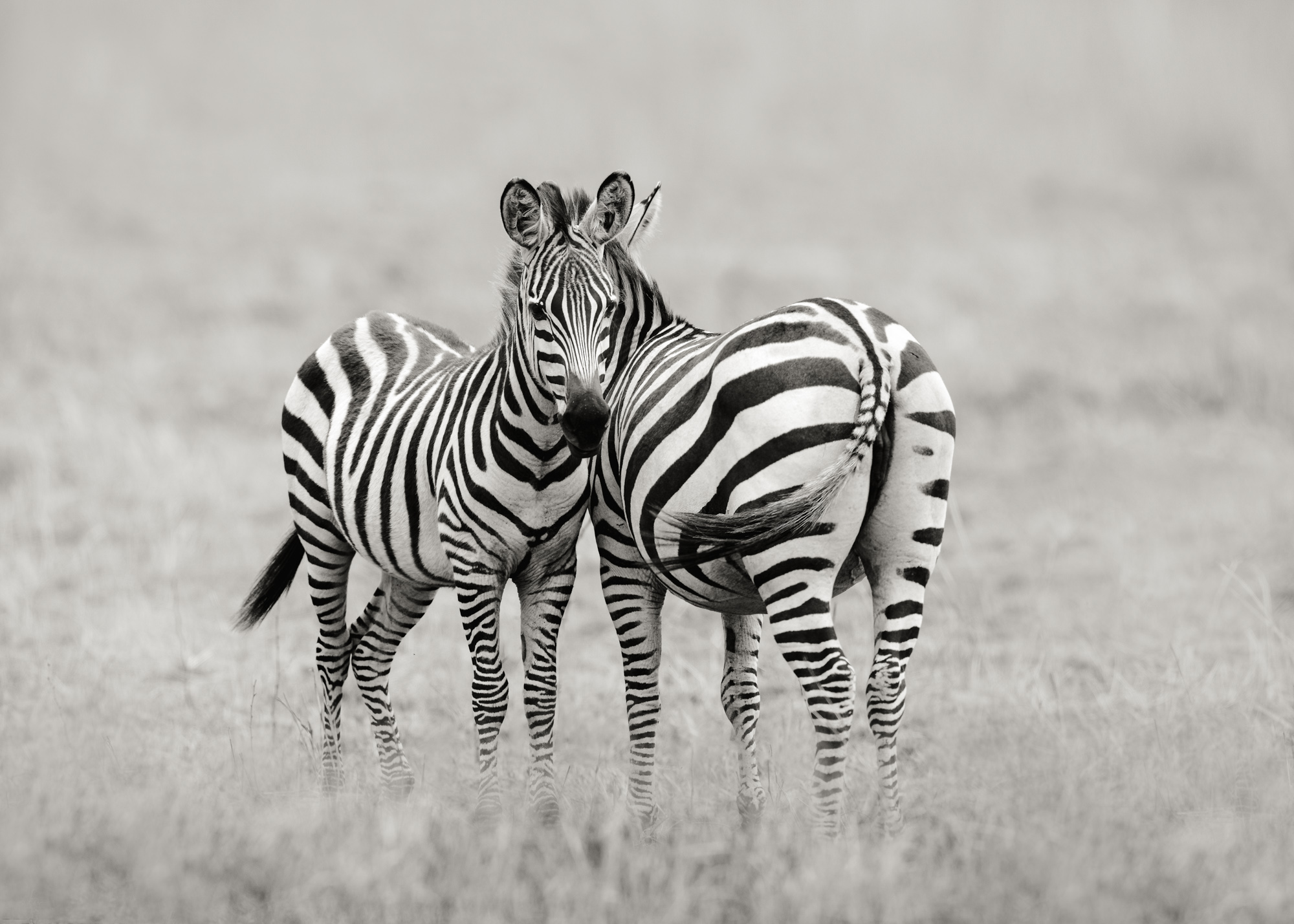 2021-08-07 East Africa-1242-3-Edit-2-Edit