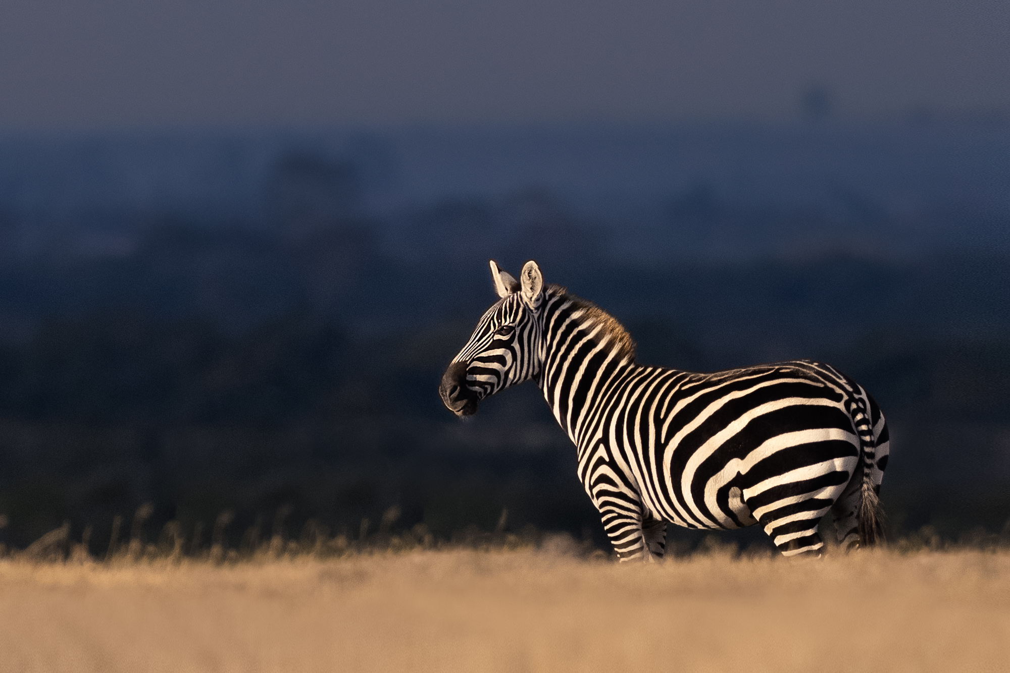 2021-08-07 East Africa-2547-Edit-Edit-Edit-Edit