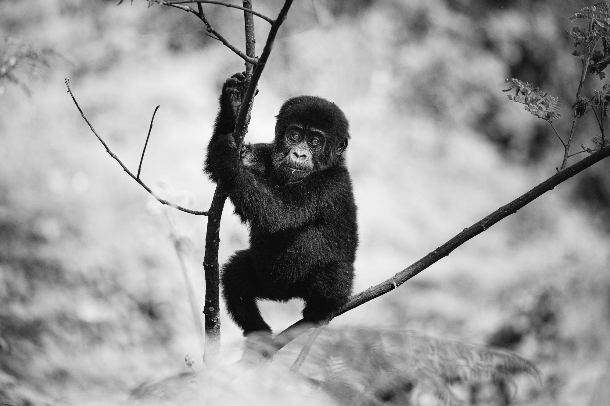 2021-08-07 East Africa-481-Edit-Edit-Edit