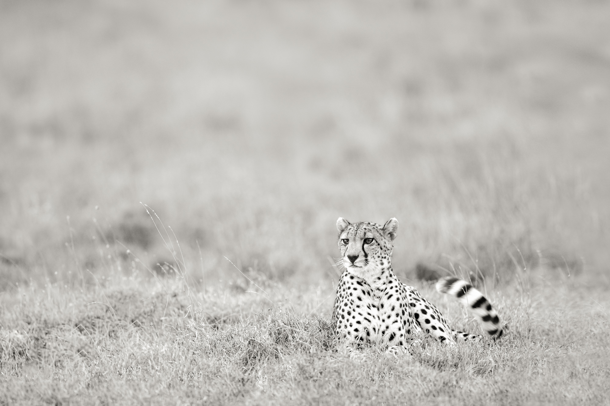 2021-08-07 East Africa-506-Edit-Edit-Edit-Edit