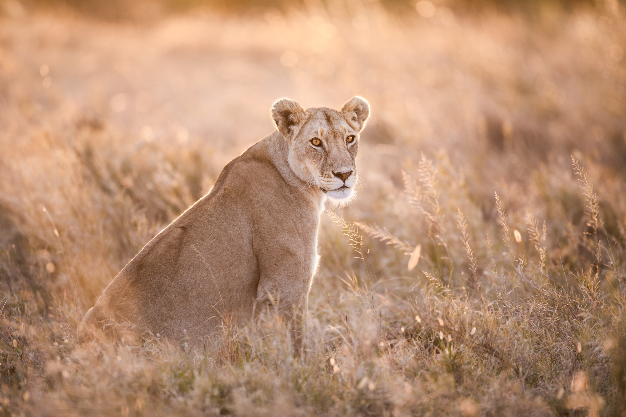 2021-08-07 East Africa-89-3-Edit