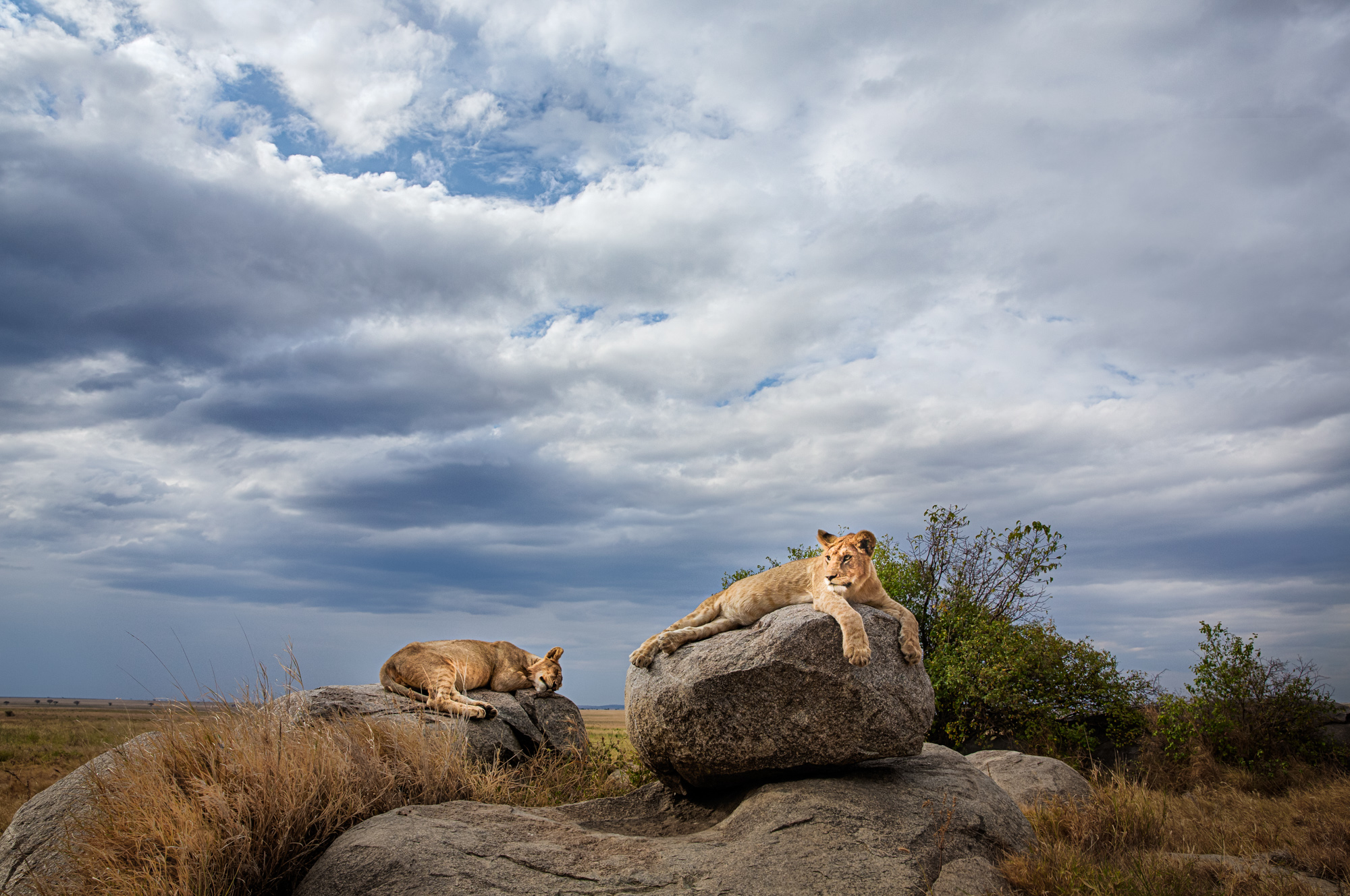 2021-08-07 East Africa-980_HDR-Edit-Edit