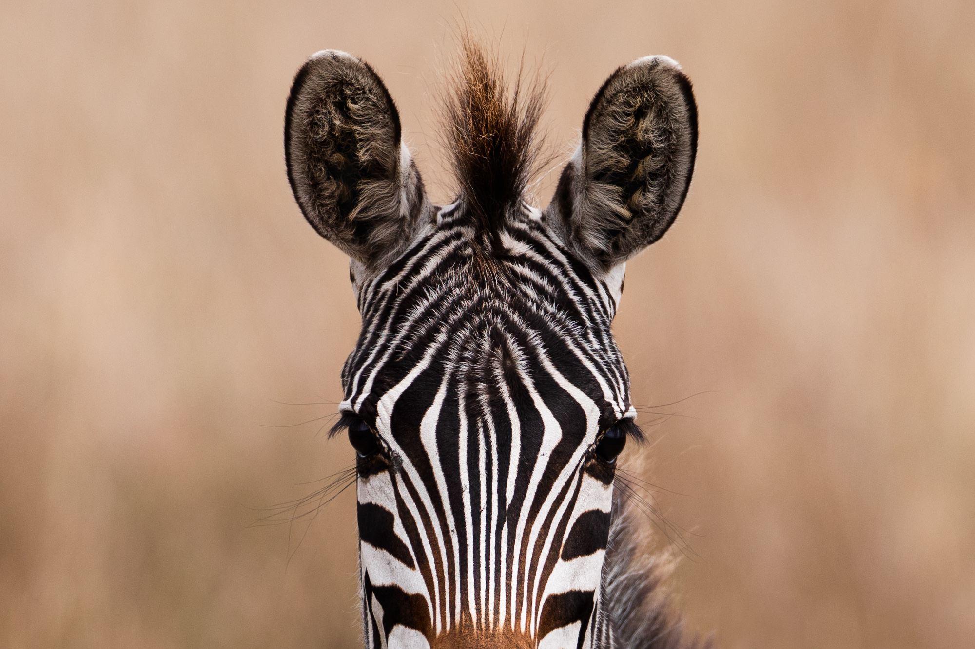 2021-08-07 East Africa-981-2-Edit