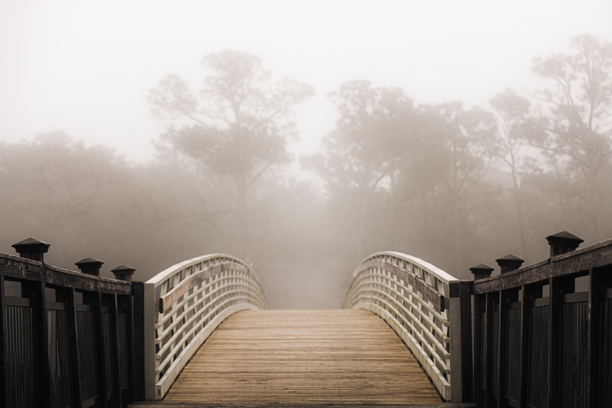 2021-12-02 Transfer LT DT-1